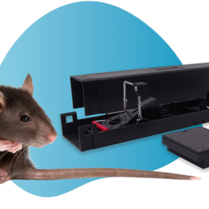 traptice rodent schadnager falle